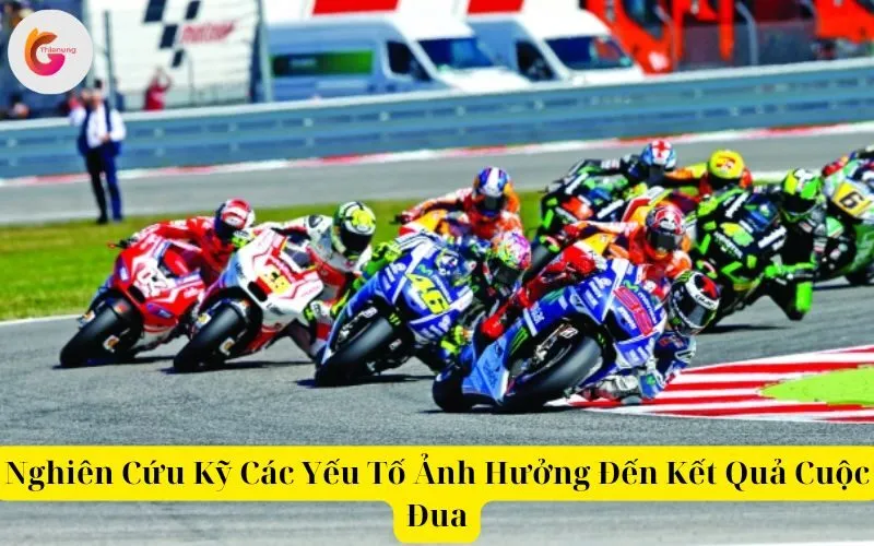 Nghiên Cứu Kỹ Các Yếu Tố Ảnh Hưởng Đến Kết Quả Cuộc Đua