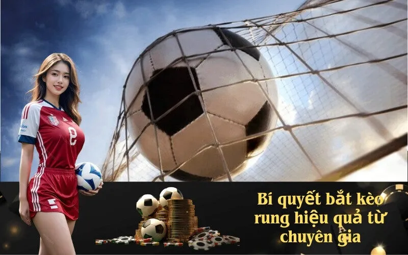 Bí quyết bắt kèo rung hiệu quả từ chuyên gia