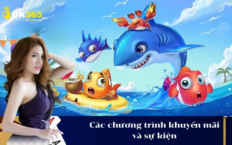 Các chương trình khuyến mãi và sự kiện