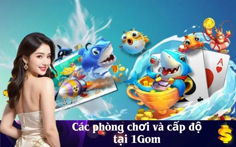 Các phòng chơi và cấp độ tại 1Gom