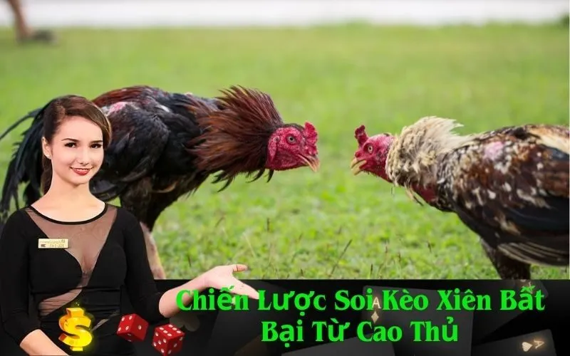 Chiến Lược Soi Kèo Xiên Bất Bại Từ Cao Thủ