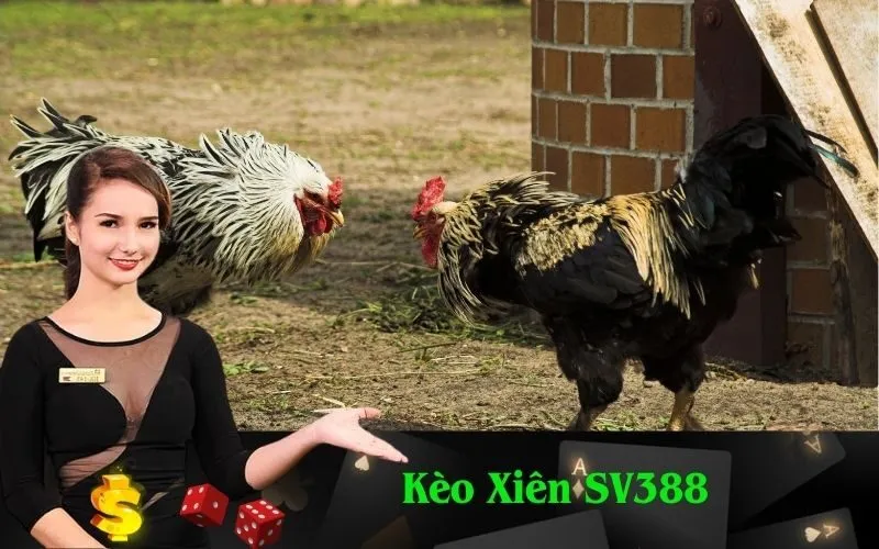 Kèo Xiên SV388