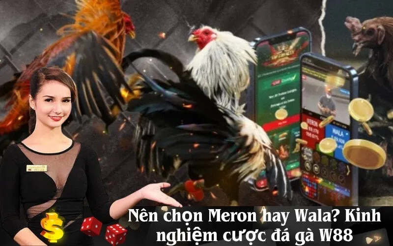 Nên chọn Meron hay Wala Kinh nghiệm cược đá gà W88