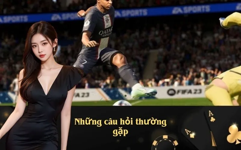 Những câu hỏi thường gặp