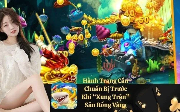 Hành Trang Cần Chuẩn Bị Trước Khi “Xung Trận” Săn Rồng Vàng