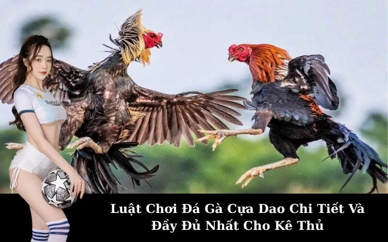 Luật Chơi Đá Gà Cựa Dao Chi Tiết Và Đầy Đủ Nhất Cho Kê Thủ