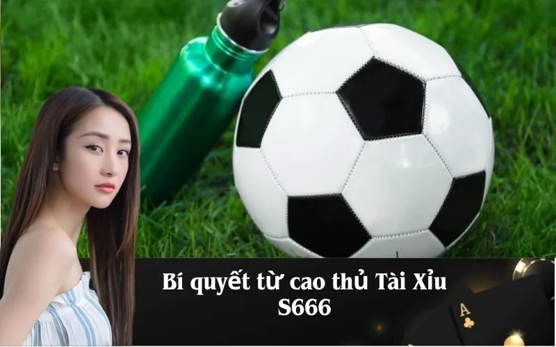 Bí quyết từ cao thủ Tài Xỉu S666