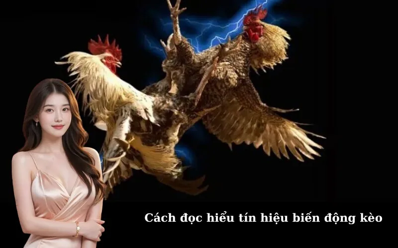 Cách đọc hiểu tín hiệu biến động kèo