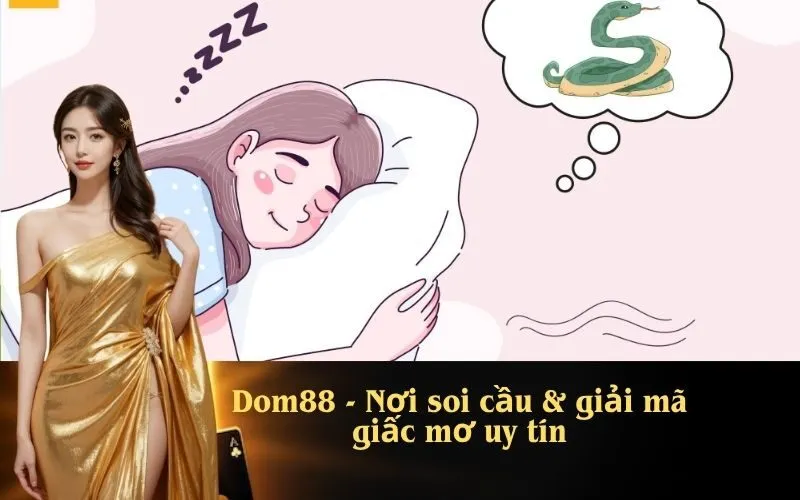Dom88 - Nơi soi cầu & giải mã giấc mơ uy tín