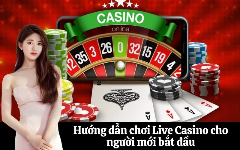 Hướng dẫn chơi Live Casino cho người mới bắt đầu