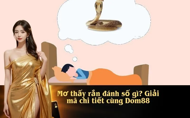 Mơ thấy rắn đánh số gì? Giải mã chi tiết cùng Dom88