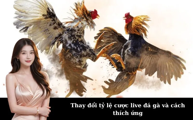 Thay đổi tỷ lệ cược live đá gà và cách thích ứng